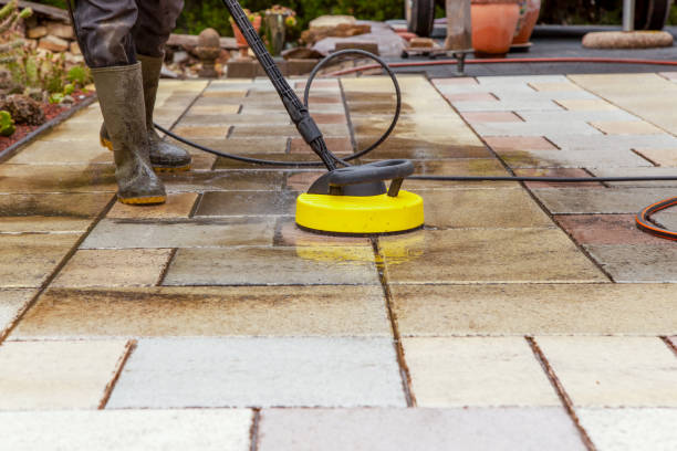 Best Warehouse Cleaning  in Elmendorf, TX