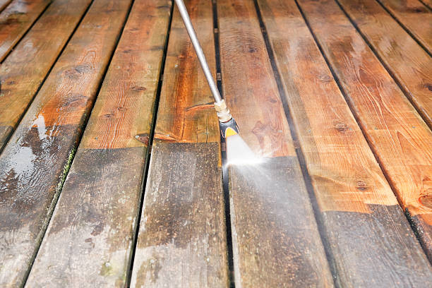 Best Fence Cleaning  in Elmendorf, TX