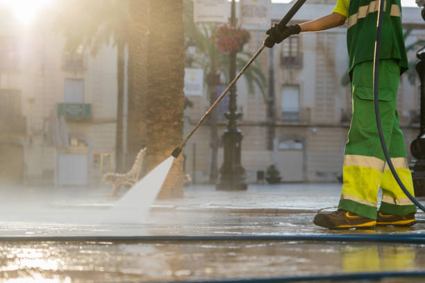 Best Solar Panel Cleaning  in Elmendorf, TX